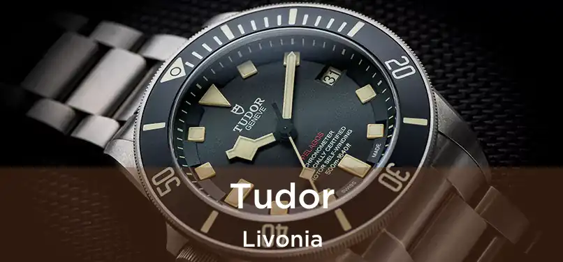 Tudor Livonia