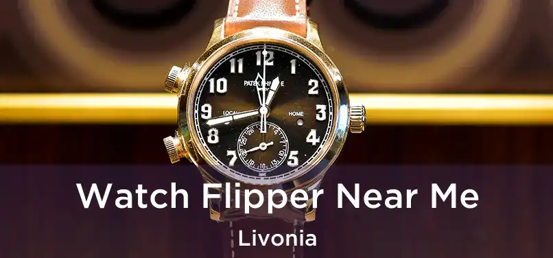 Watch Flipper Near Me Livonia