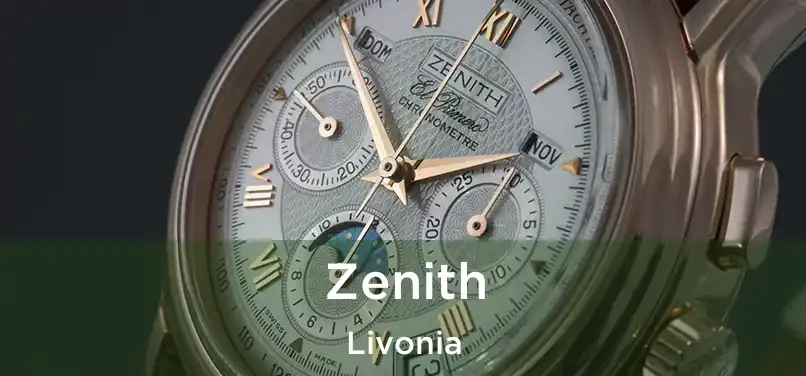 Zenith Livonia